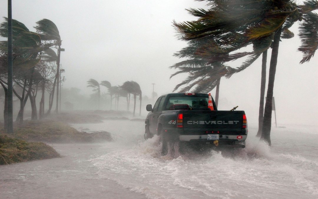 Unveiling the Secrets: How to Detect Hurricane Damage in a Used Car